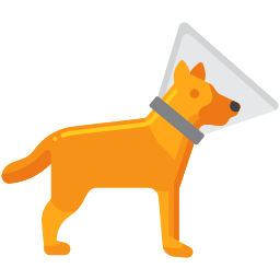 애완동물 목걸이 icon