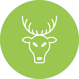 Deer icon