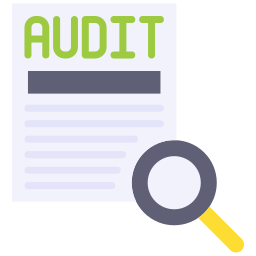 Audit icon