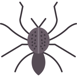 spinne icon