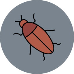 Cockroach icon