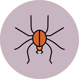 spinne icon