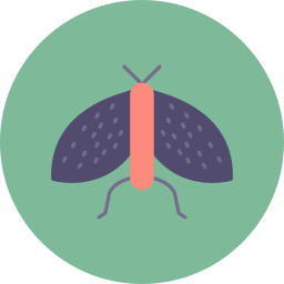 Butterfly icon