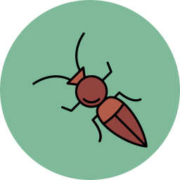 개미과 icon