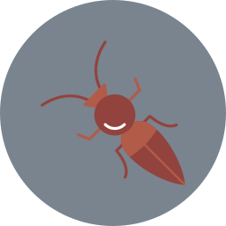 Formicidae icon