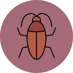 cucaracha icono