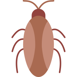 kakkerlak icoon