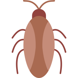 Cockroach icon