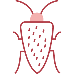 Cockroach icon