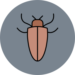 cucaracha icono