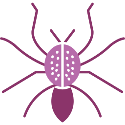 spinne icon