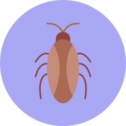 Cockroach icon