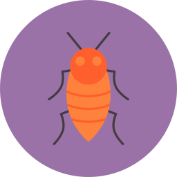 Insect icon