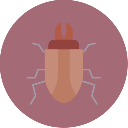 Stag beetle icon