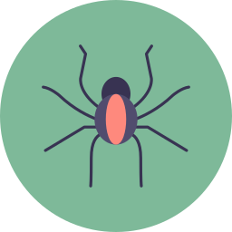 Spider icon
