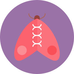 Butterfly icon