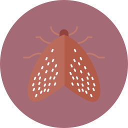 Insect icon