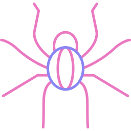 spinne icon