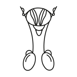 sistema reproductor masculino icono