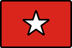 ベトナム icon