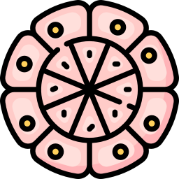 Animal cell icon
