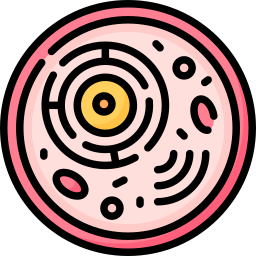 Animal cell icon