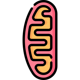 mitochondria ikona
