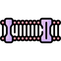 Plasma membrane icon