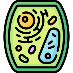 cellule de plante Icône