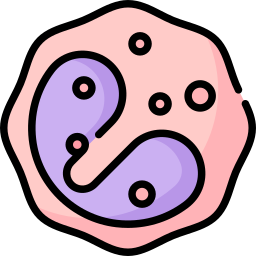 eosinofilo icona