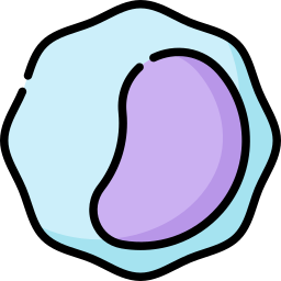 Lymphocytes icon