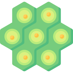 植物細胞 icon