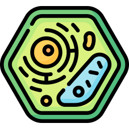 植物細胞 icon
