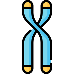 хромосома иконка