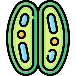 Guard cell icon