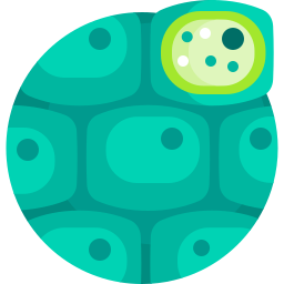 Plant cell icon