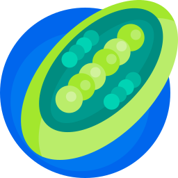 Chloroplast icon