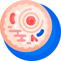 動物細胞 icon