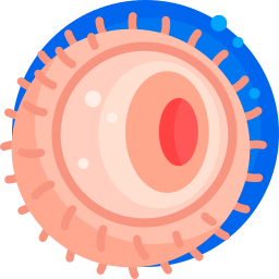 Ovule icon