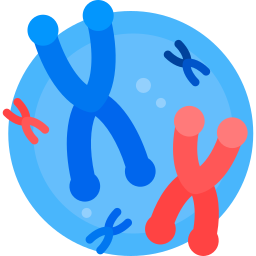 chromosomes Icône