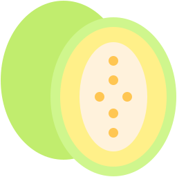 cantaloup-melone icon