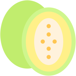 Cantaloupe icon