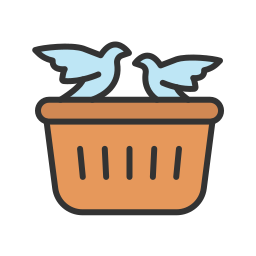 Birds icon