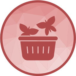 Butterflies icon