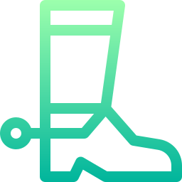 bota icono