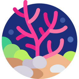récif de corail Icône