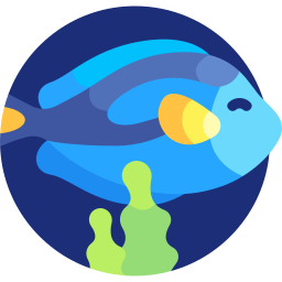 peixe espiga azul Ícone