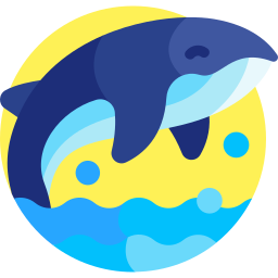 Whale icon