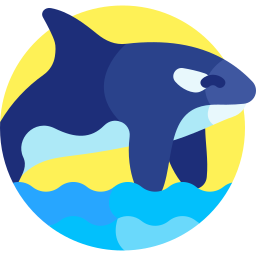 orca icona