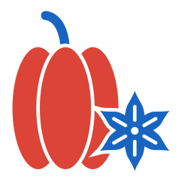 carambola icoon